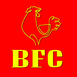 Belfast Fried Chicken logo.